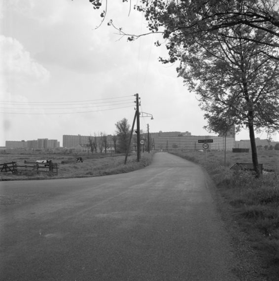 The Ommoordseweg seen from the intersection with the Capelseweg. (1972)
