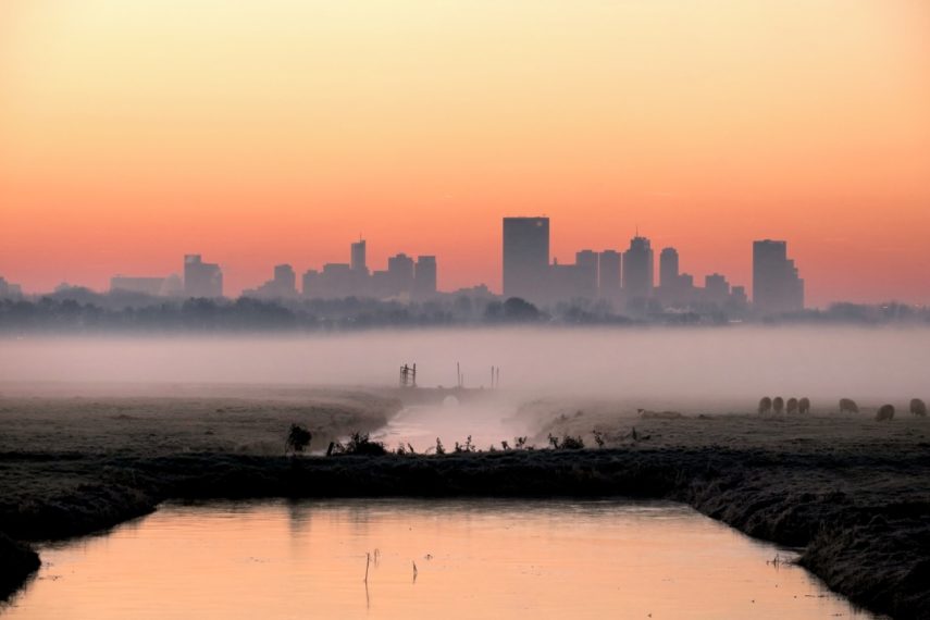 The Rotterdam skyline, as seen at sunset, from a meadow near Rotterdam The Hague Airport.