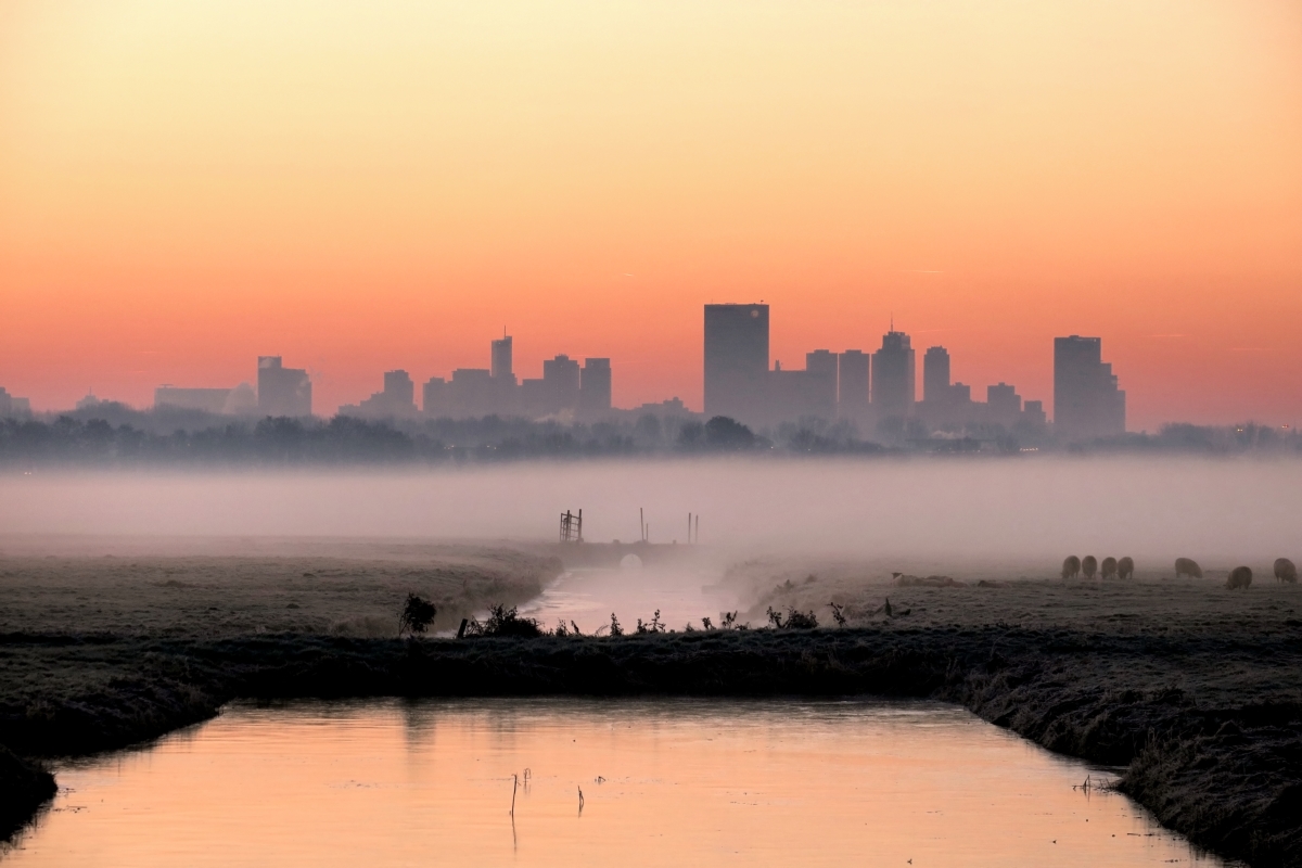 De Skyline van Rotterdam vanuit de polder â€¢ Rotterdam