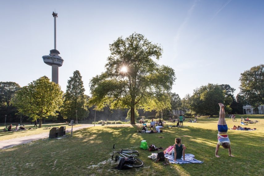 People relaxing in the Park near the Euromast