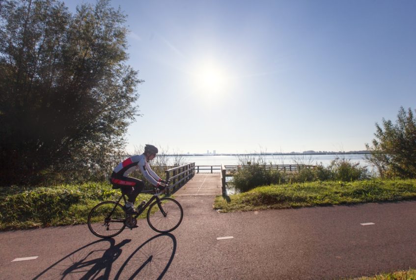 Biker / cyclist near Zevenhuizerplas