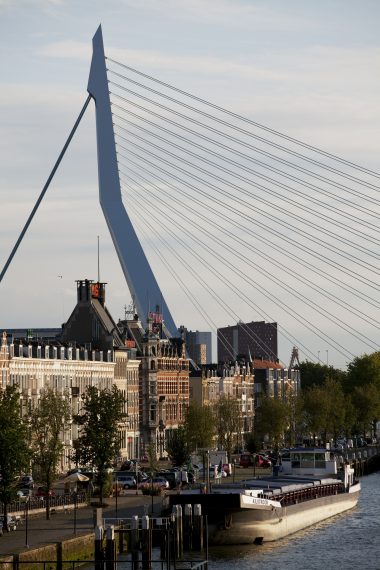 View at the Erasmusbrug