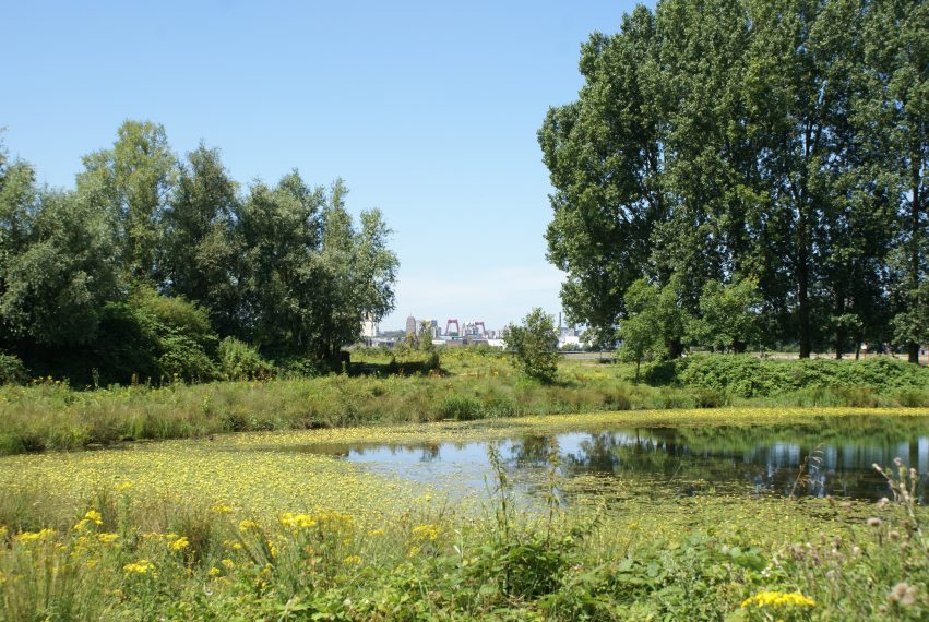 Eiland van Brienenoord, with view of Rotterdam city centre, including the Willemsbrug