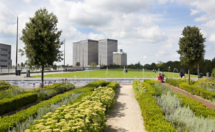 Tuin op het Dakpark, met op de achtergrond de Rotterdam Science Tower (Architecten Sciene Tower: Architectenbureau Skidmore, Owings & Merrill).