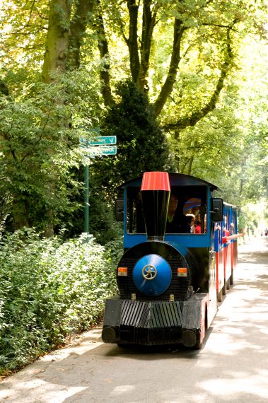 Family park Plaswijckpark is situated in a beautiful, natural environment. You can drive a mini car at the traffic garden, play at the big playground or act like a monkey in the monkey garden. At warm days take a towel and play with the water in the port playground.