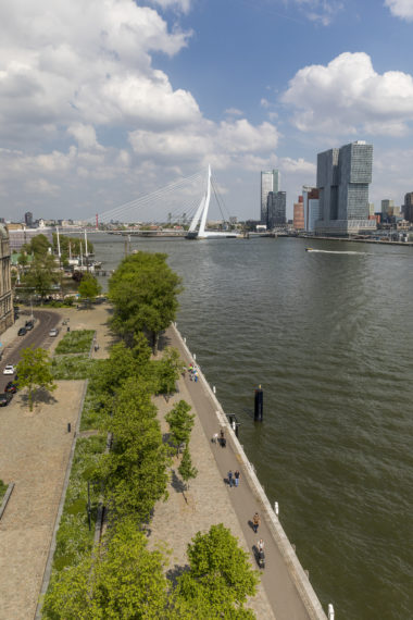 De Westerkade loopt vanaf de Veerhaven langs de oever van de Nieuwe Maas naar de Parkkade. 