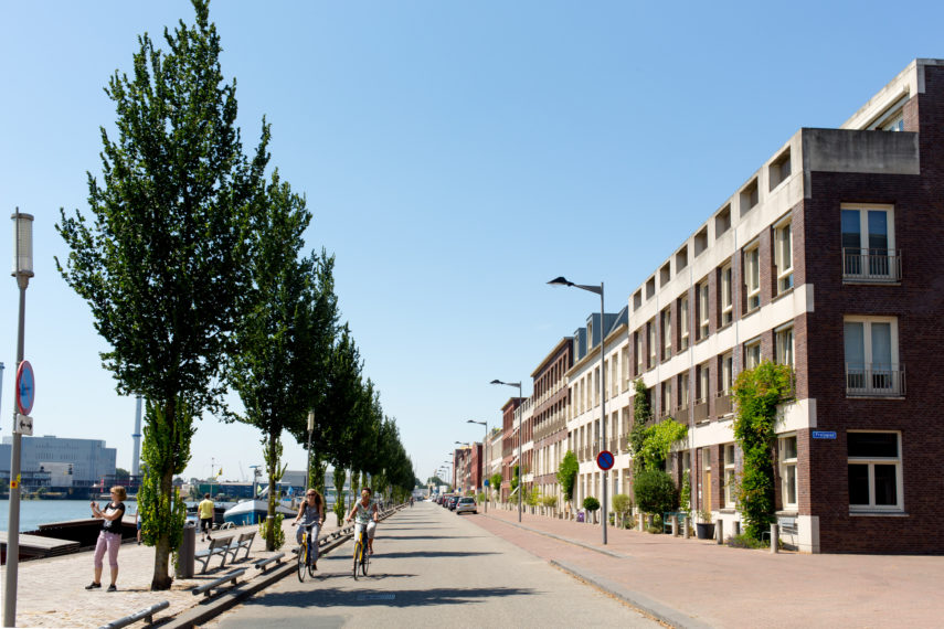 Huizen aan de Maashavenkade in Katendrecht.