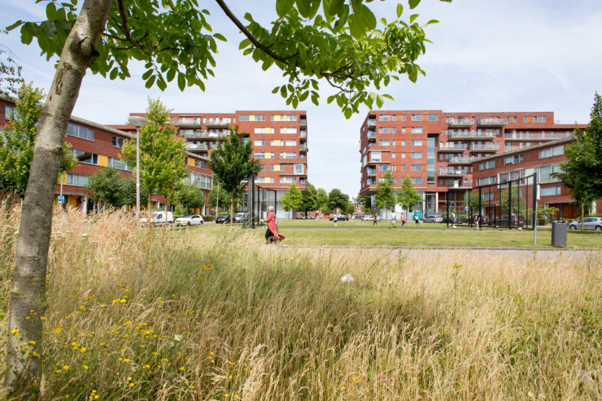 The Genestetplein with playing field in the district Spangen, Rotterdam West.
