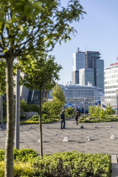 Het Willemsplein met op de achtergrond cruiseschip Aida en Havenbedrijf Rotterdam. 
