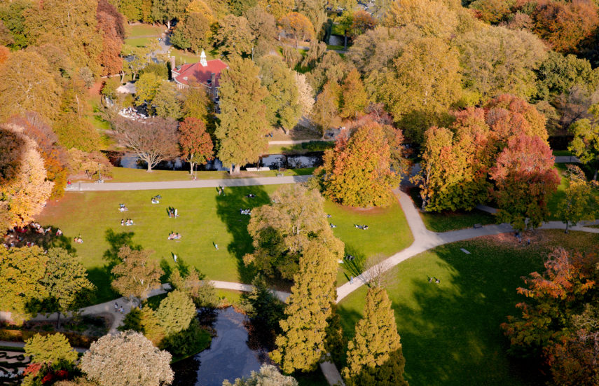 Autumn in Het Park.