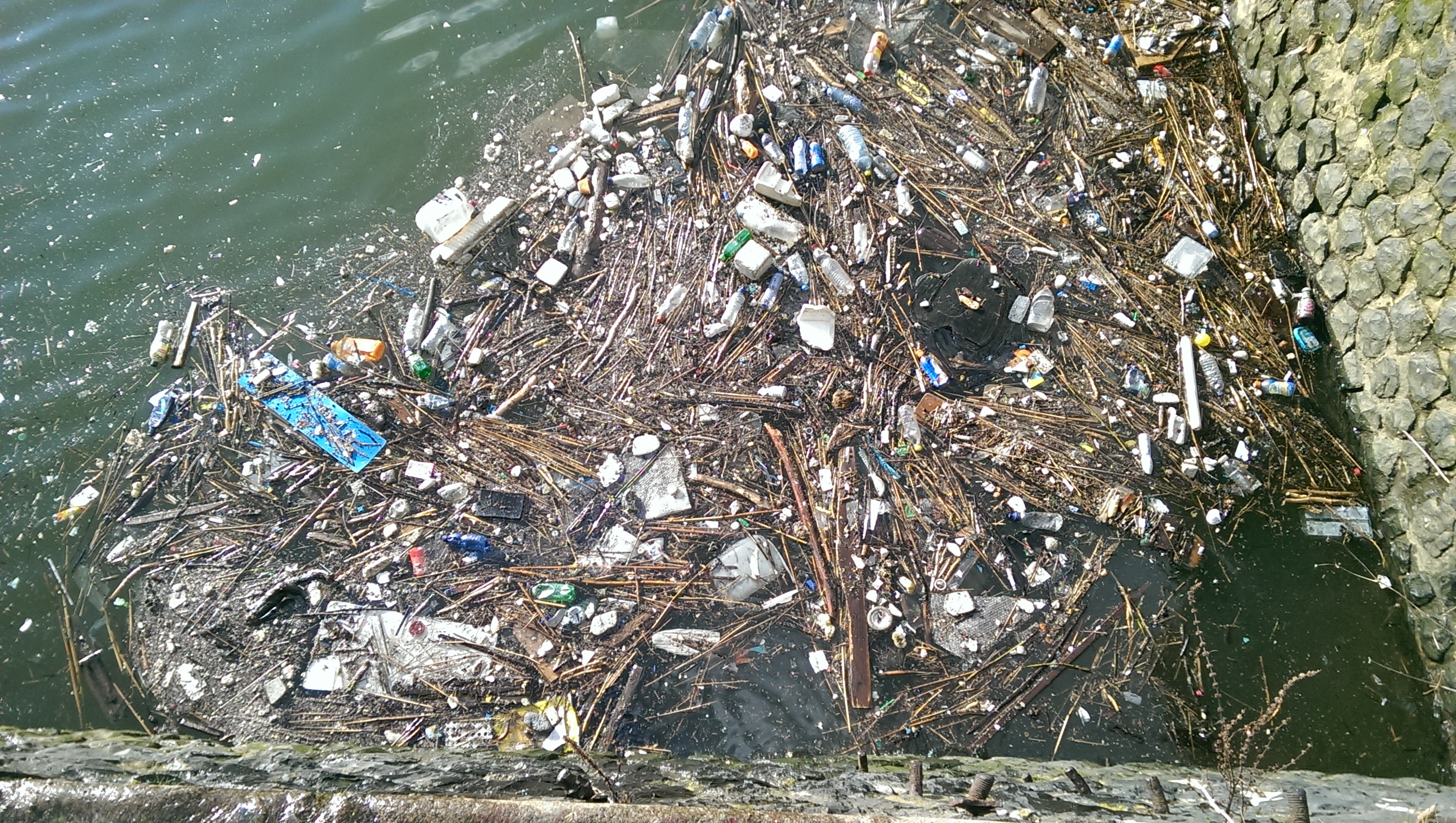 Floating plastic waste in the river Maas