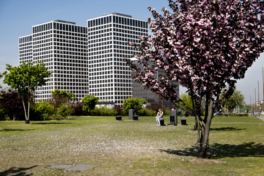 Spring at Rotterdam West.