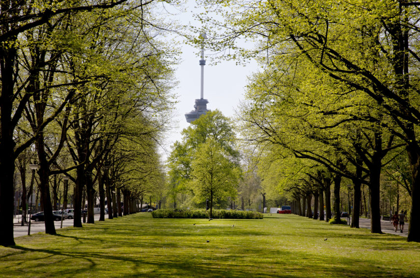 The park nearby the Euromast.