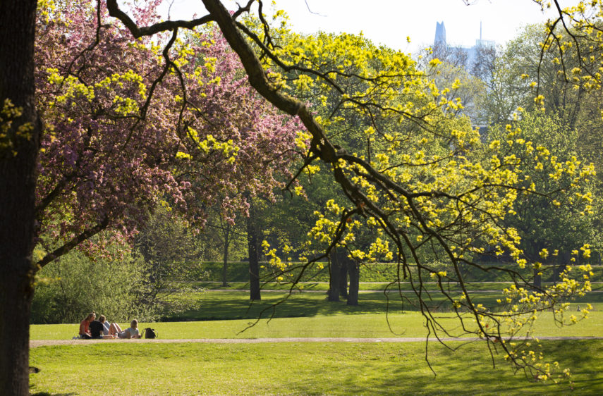 Sunny day at Het Park.
