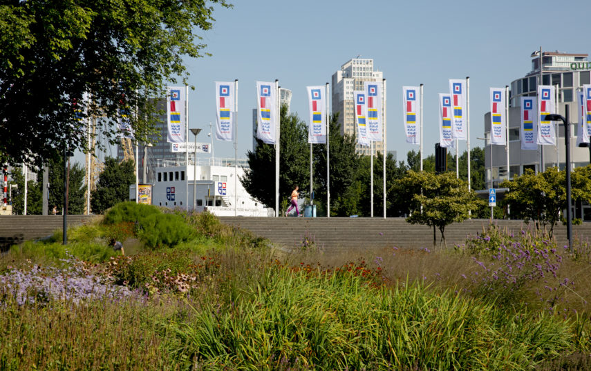 The flag parade at the Boompjes
