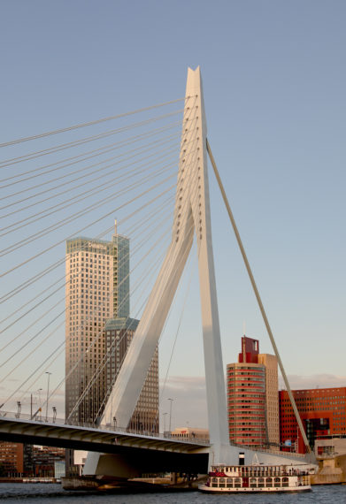 The Erasmus Bridge seen from the center.