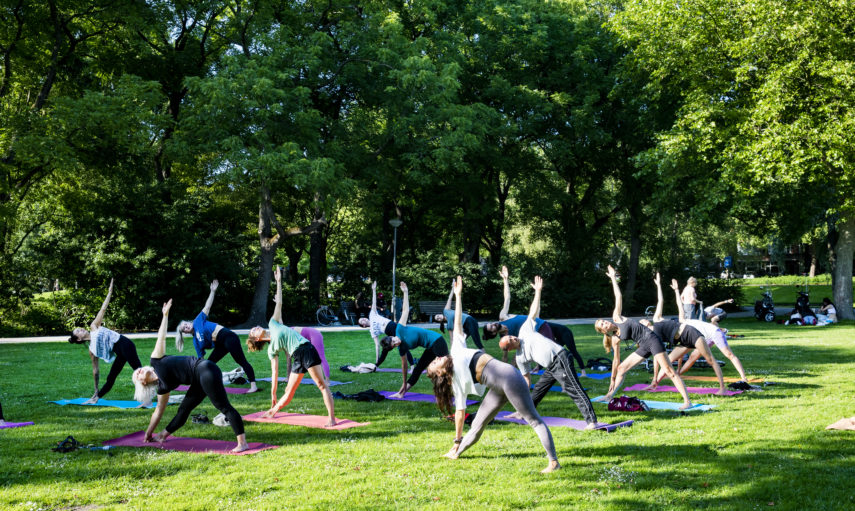 Yoga on grass.