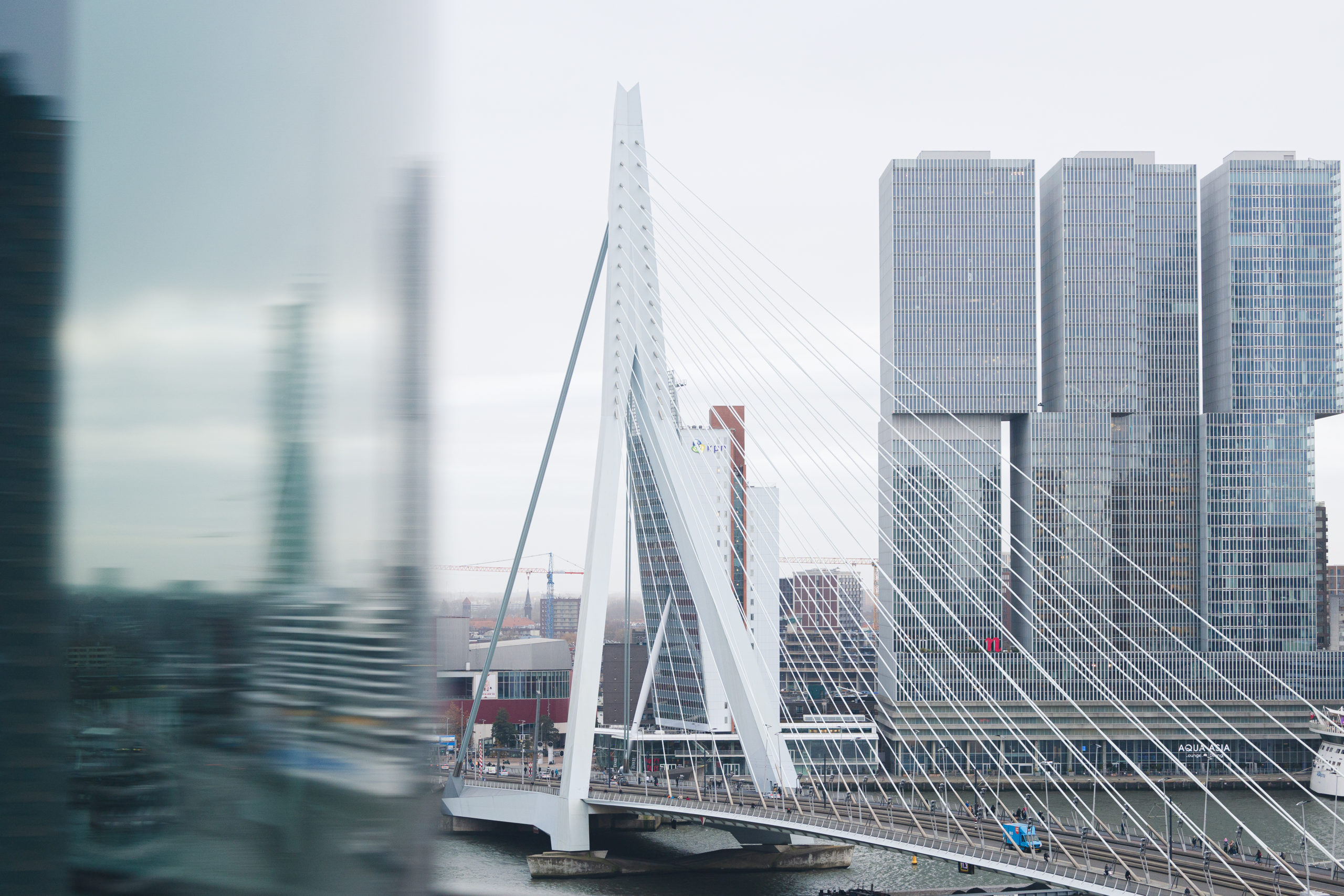 erasmus bridge