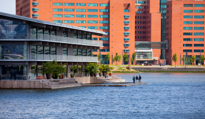 The Floating Office of the GCA (Global Center in Adaptation) at the Rijnhaven. People are walking on the deck.