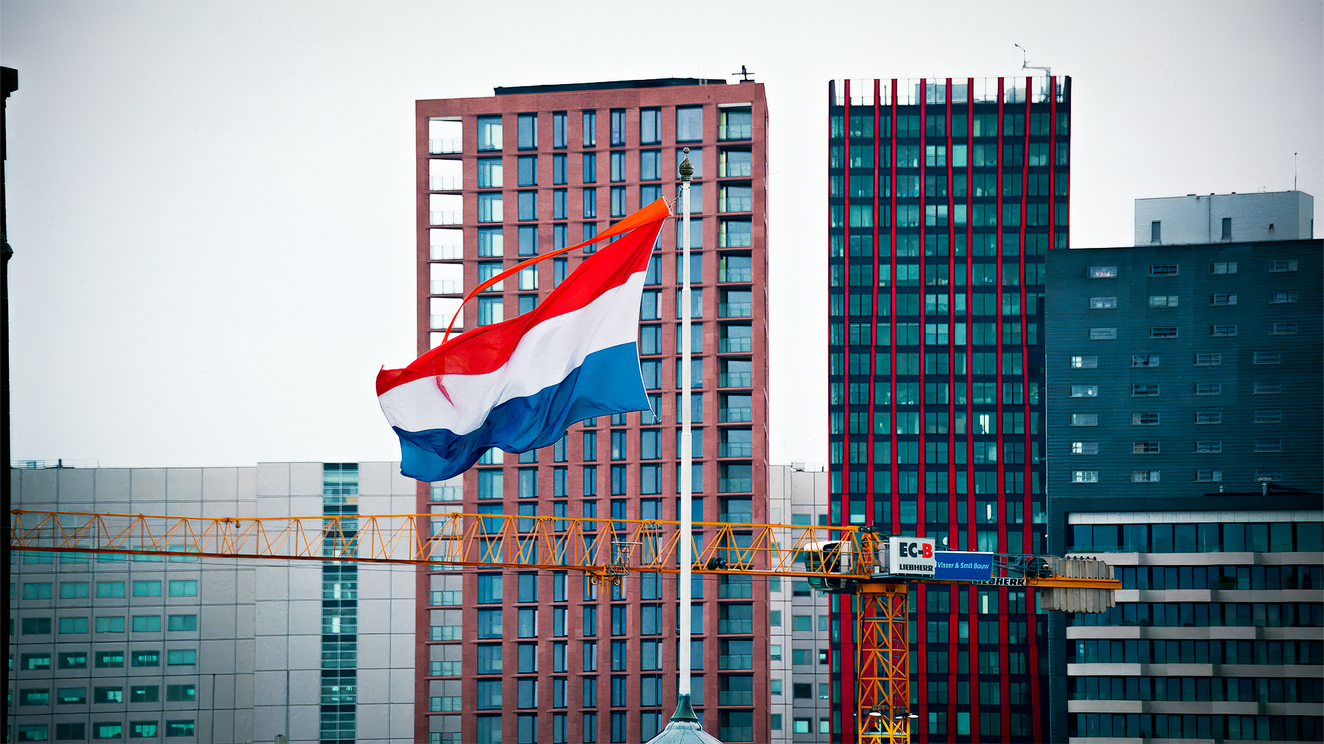 How to Celebrate King's Day in Rotterdam