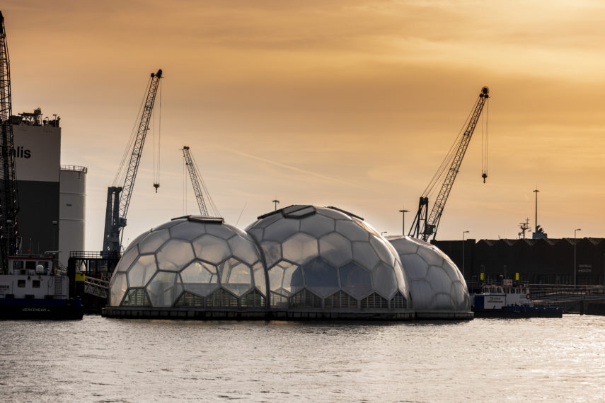 Het Drijvend Paviljoen op zijn nieuwe locatie in de Dokhaven bij RDM Rotterdam. Het Drijvend Paviljoen wordt beheerd door Hogeschool Rotterdam dat het inzet voor onderwijs en evenementen.