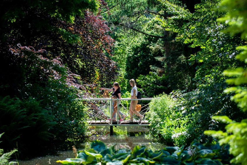 Visitors visit Trompenburg Gardens & Arboretum in Kralingen. 