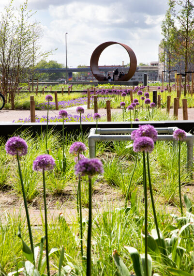 De Groene Kaap at Katendrecht is all about communcal living. This complex has 5 highrises, adventurous gardens, elevated air bridges. It won the national Rooftop Award 2021.