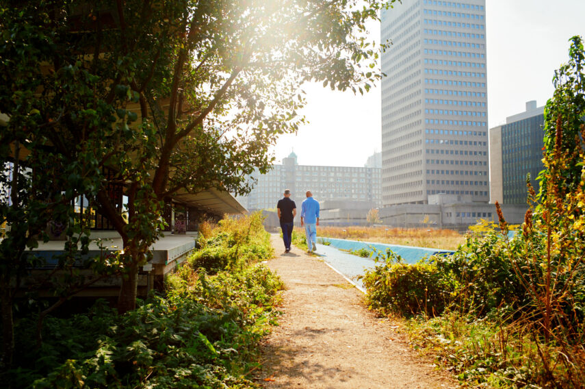 Twee mensen wandelen op een zonnige dag door het Luchtpark de Hofbogen met op de voorgrond hoogbouw van de stad. 
