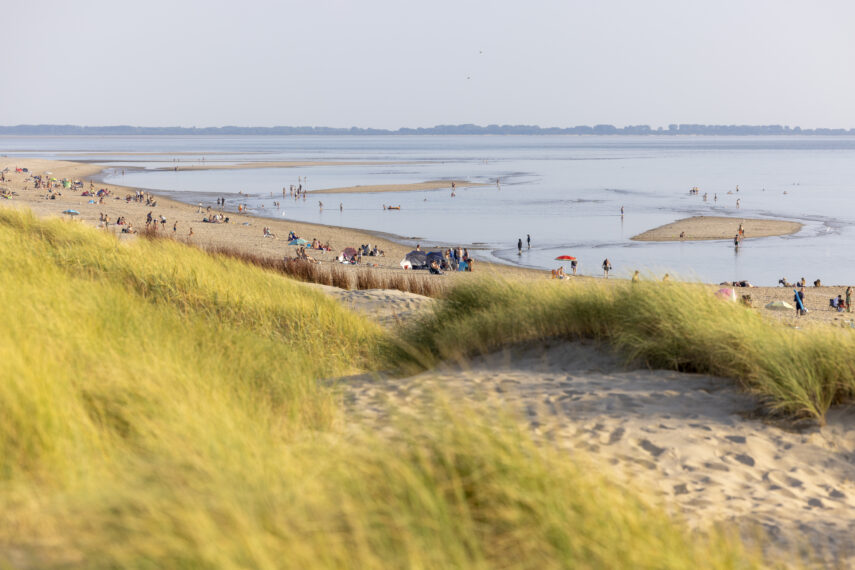 Vanaf de duinen kijk je zo over het Maasvlaktestrand. Verspreid over het strand liggen en wandelen mensen. In de verte lopen mensen door ondiep water en over zandbanken in zee. Het is een zonnige dag. 
