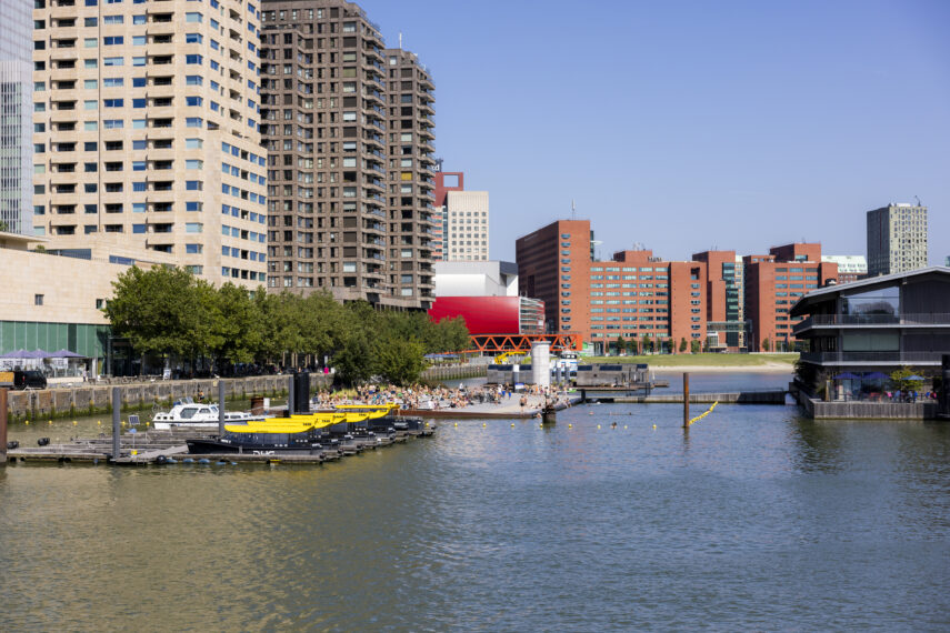 Op een zonnige dag liggen mensen te zonnen op de Wilhelminapier aan de Rijnhaven in Rotterdam, omringd door moderne hoogbouw en kantoorgebouwen. Links liggen gele watertaxi’s aan een steiger, en rechts ligt het drijvende kantoorgebouw "Floating Office".