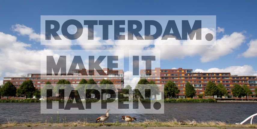 Geese in front of the water with a view of the district Spangen in Rotterdam West.