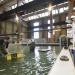 aqualab rdm rotterdam claire droppert