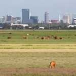 rotterdam the hague airport vliegtuig ossip van duivenbode