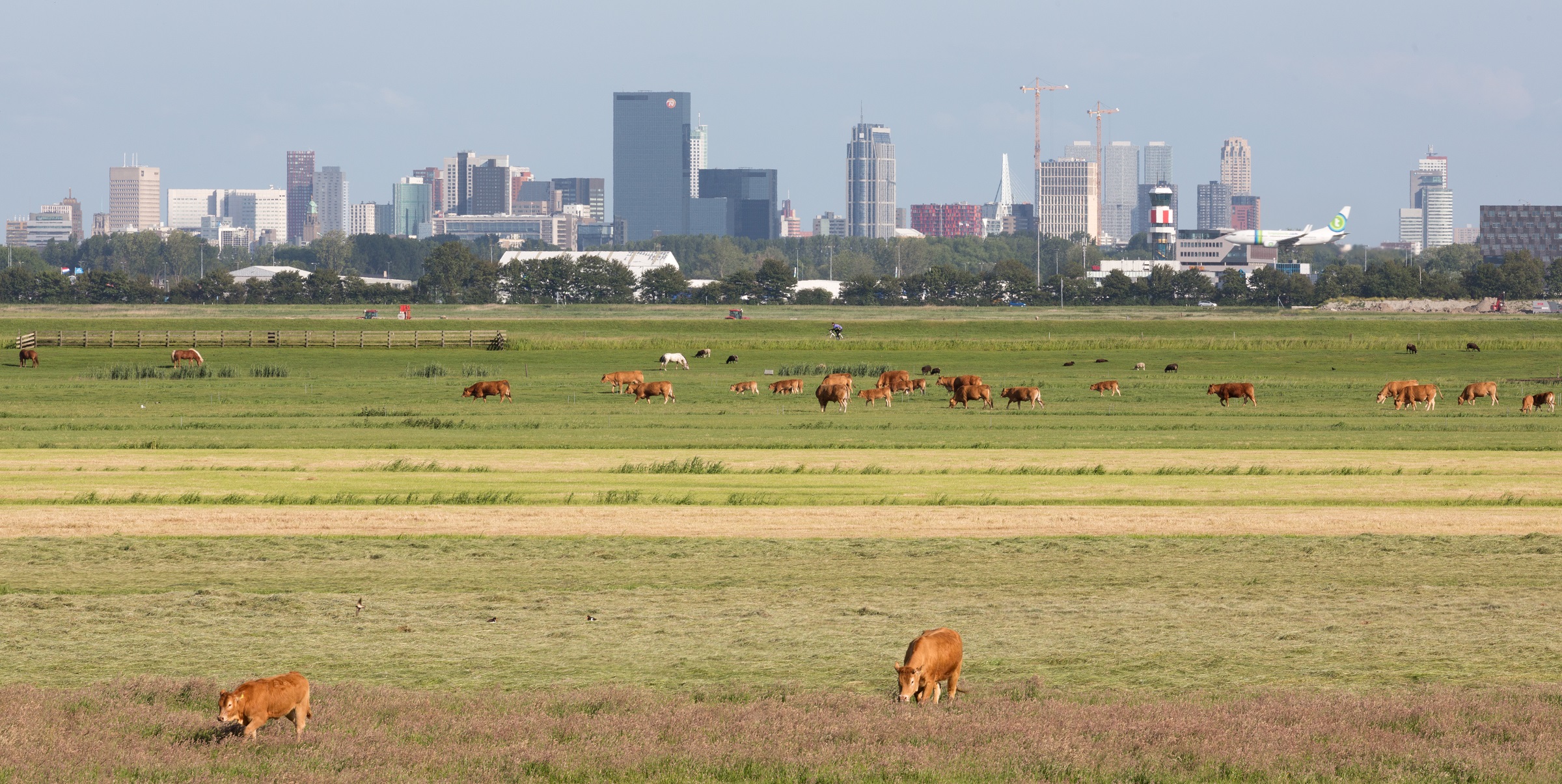 rotterdam the hague airport vliegtuig ossip van duivenbode