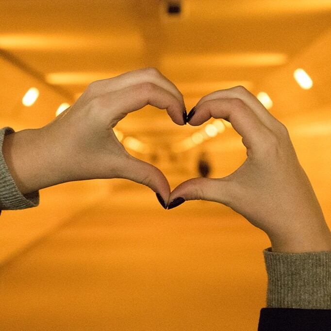 Tunnel of Love