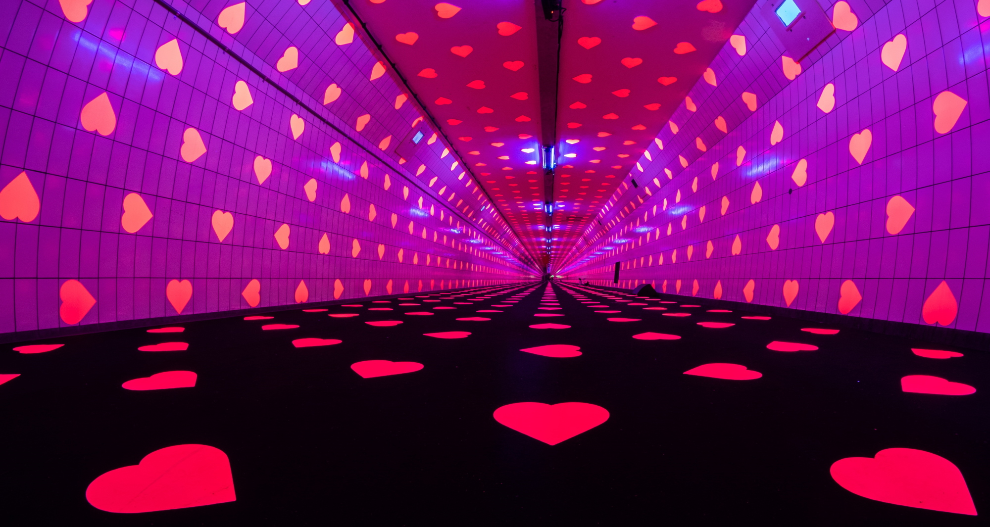 Foto: de 'tunnel of love'