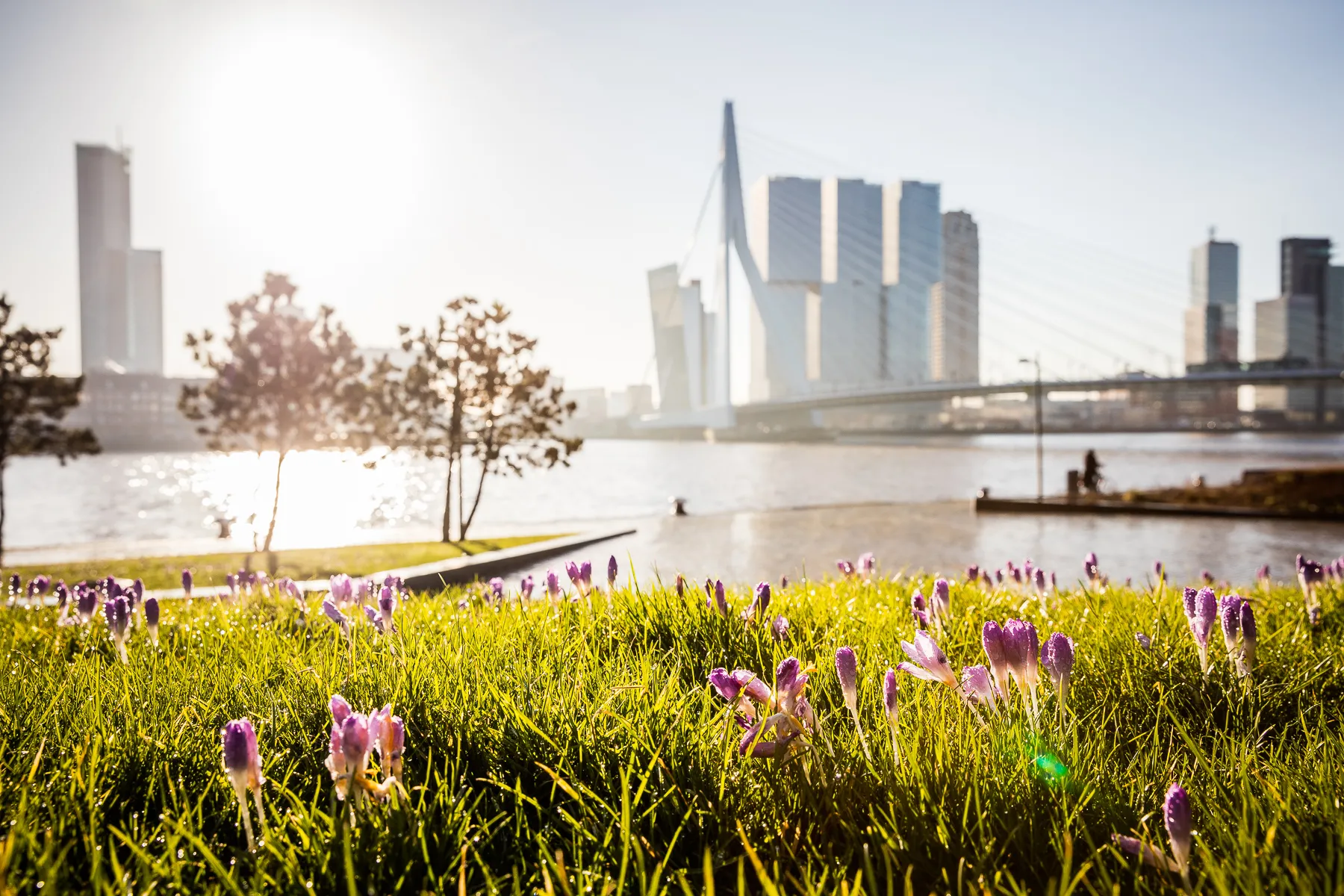 Healthy city - Rotterdam Make It Happen