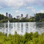 De Kralingse Plas in het Kralingse Bos