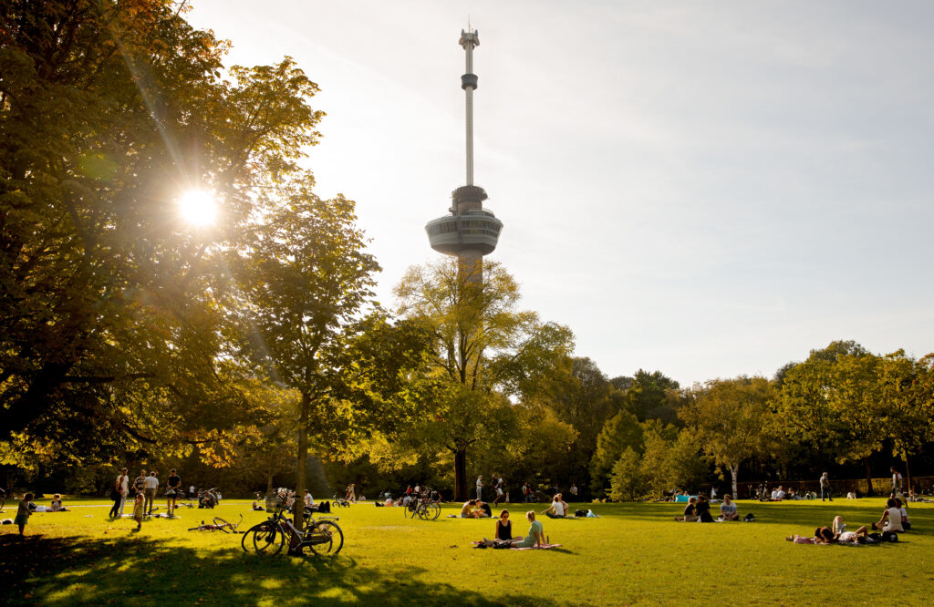 Een nazomerdag in Het Park.