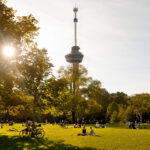 Een nazomerdag in Het Park, zicht op de Euromast