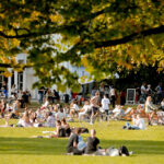 Nazomerdag bij Parqiet in Het Park
