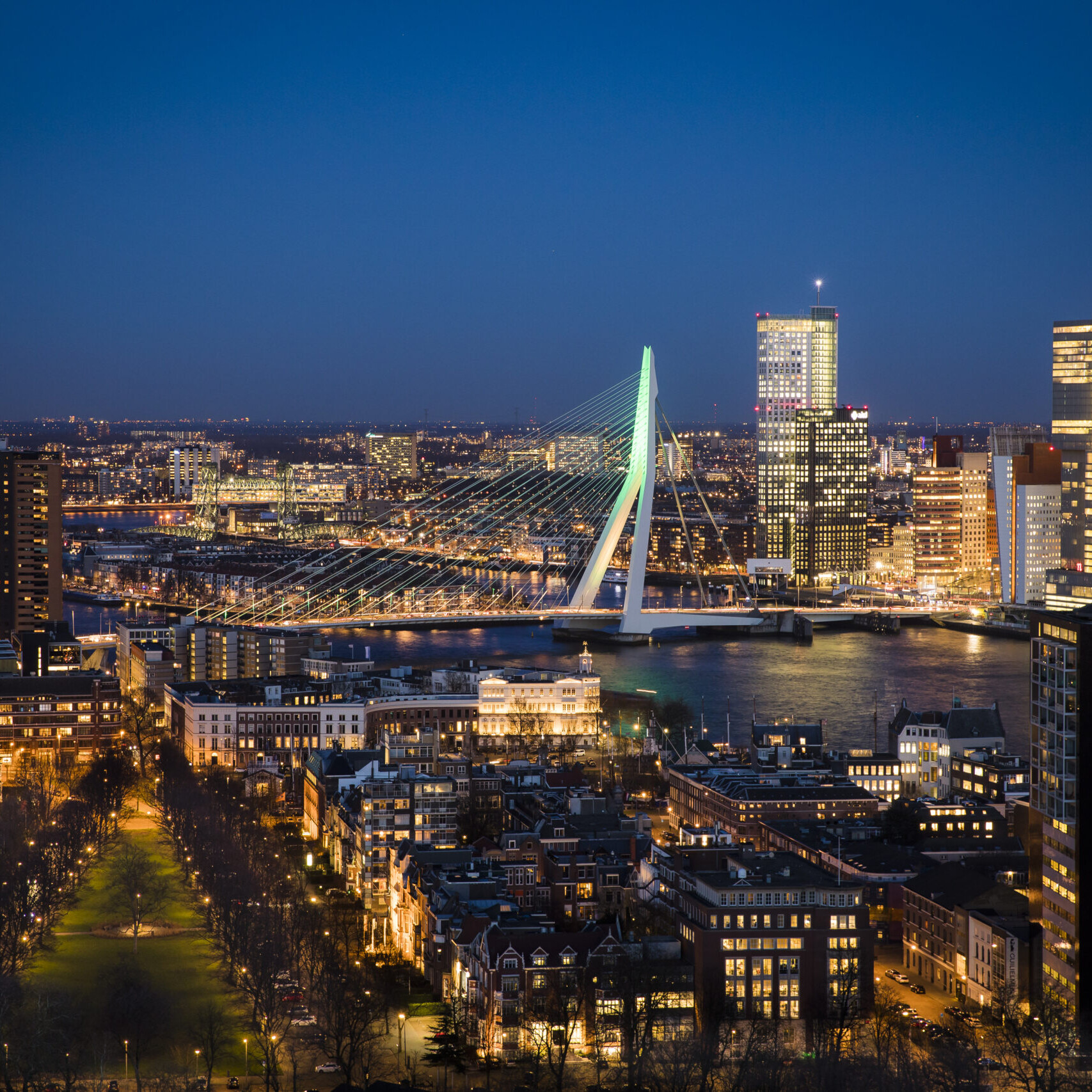 De verlichte ErasmusDe verlichte Erasmusbrug temidden van een kleurrijk verlichte Rotterdamse skyline