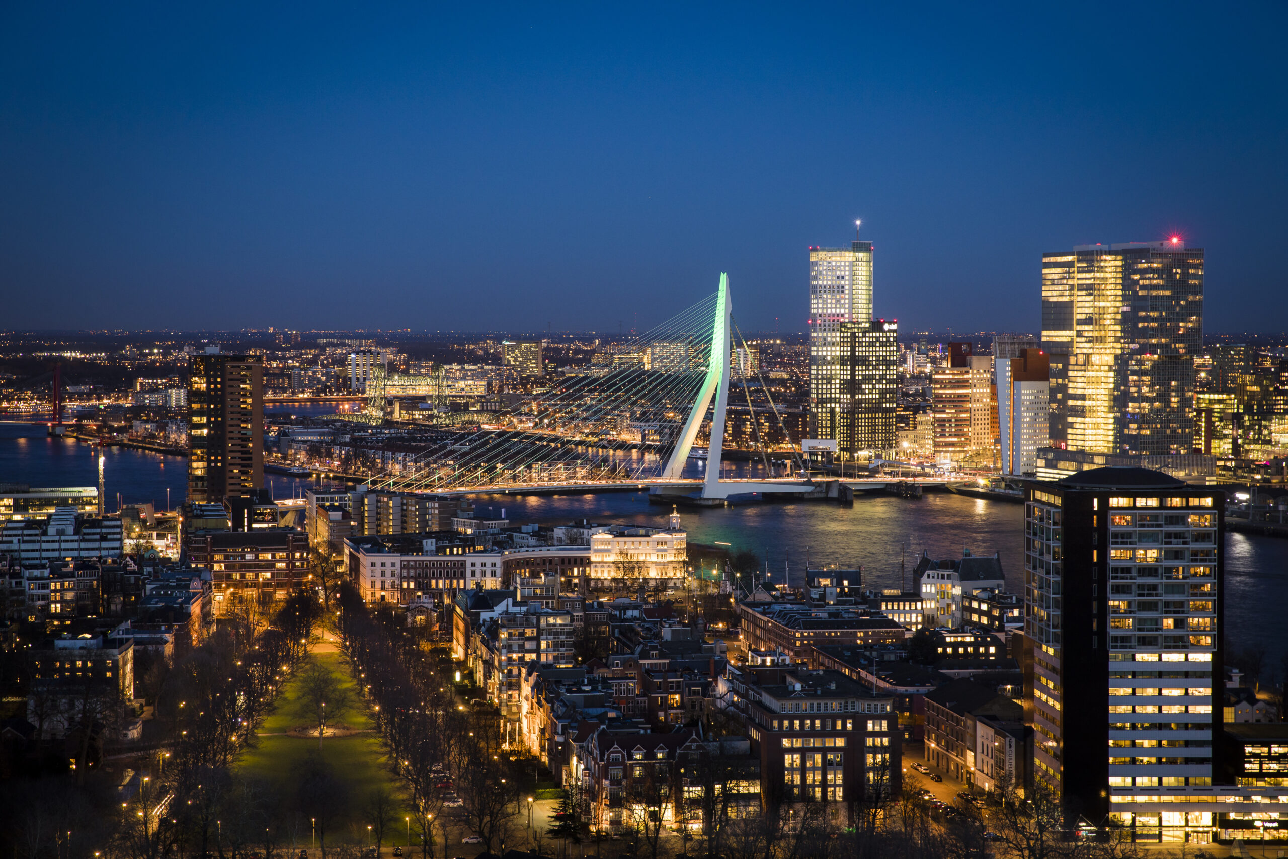 Skyline met daarop de Erasmus brug in de avond. 