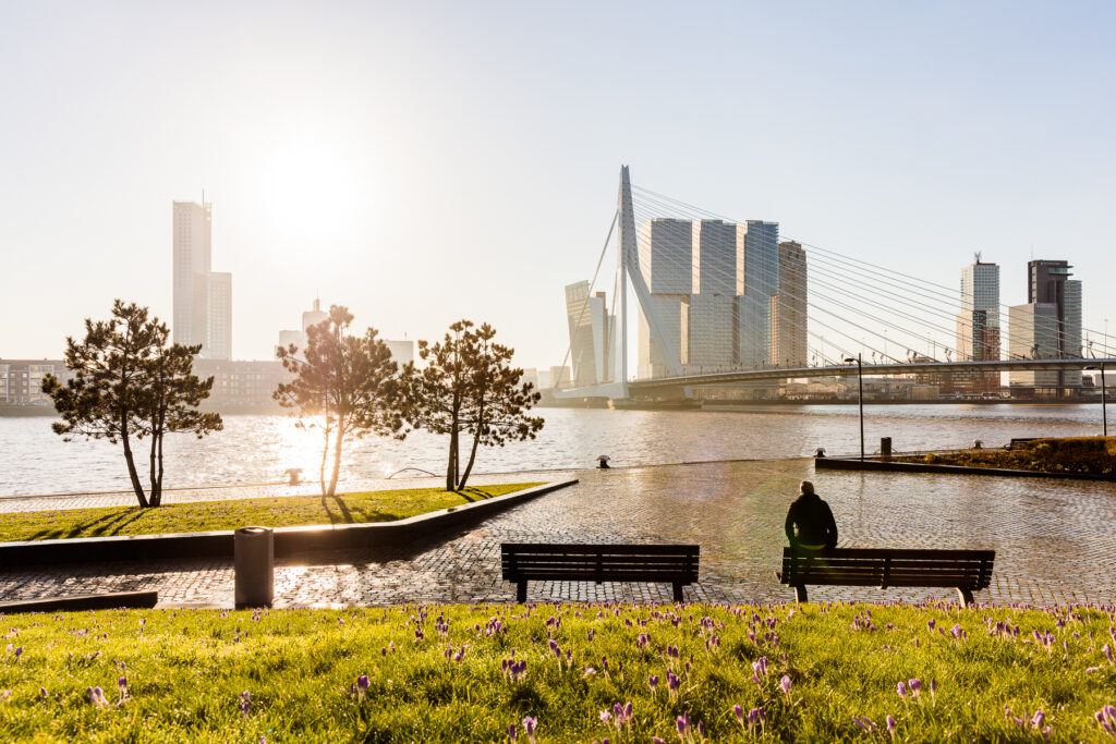 Lente in Rotterdam. 