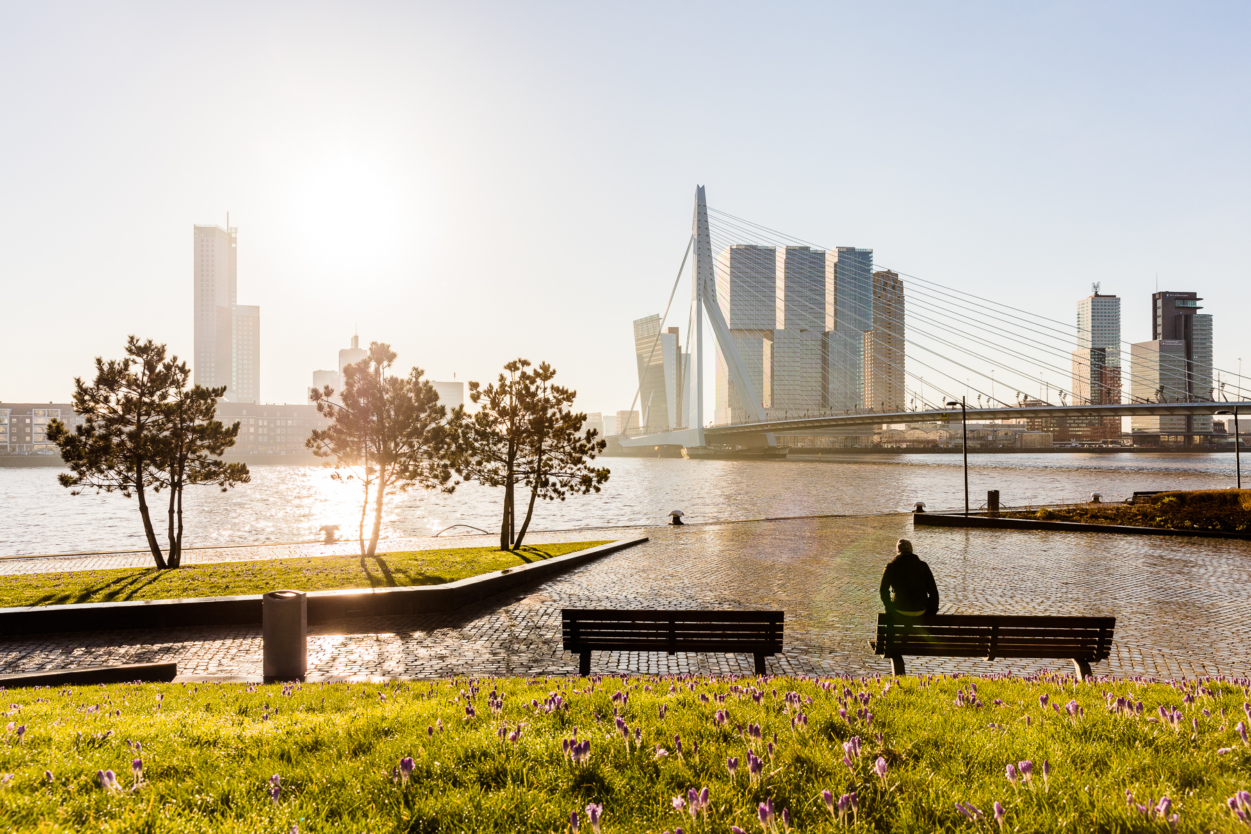 Lente in Rotterdam. 