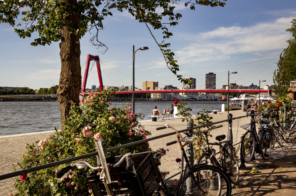 Maaskade bij de Willemsbrug.