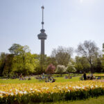 Euromast in de lente