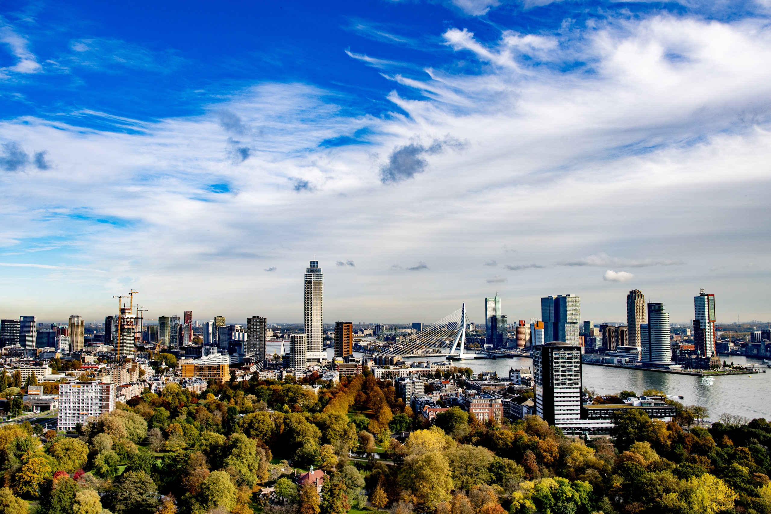 Zicht op de skyline van Rotterdam met de Zalmhaven