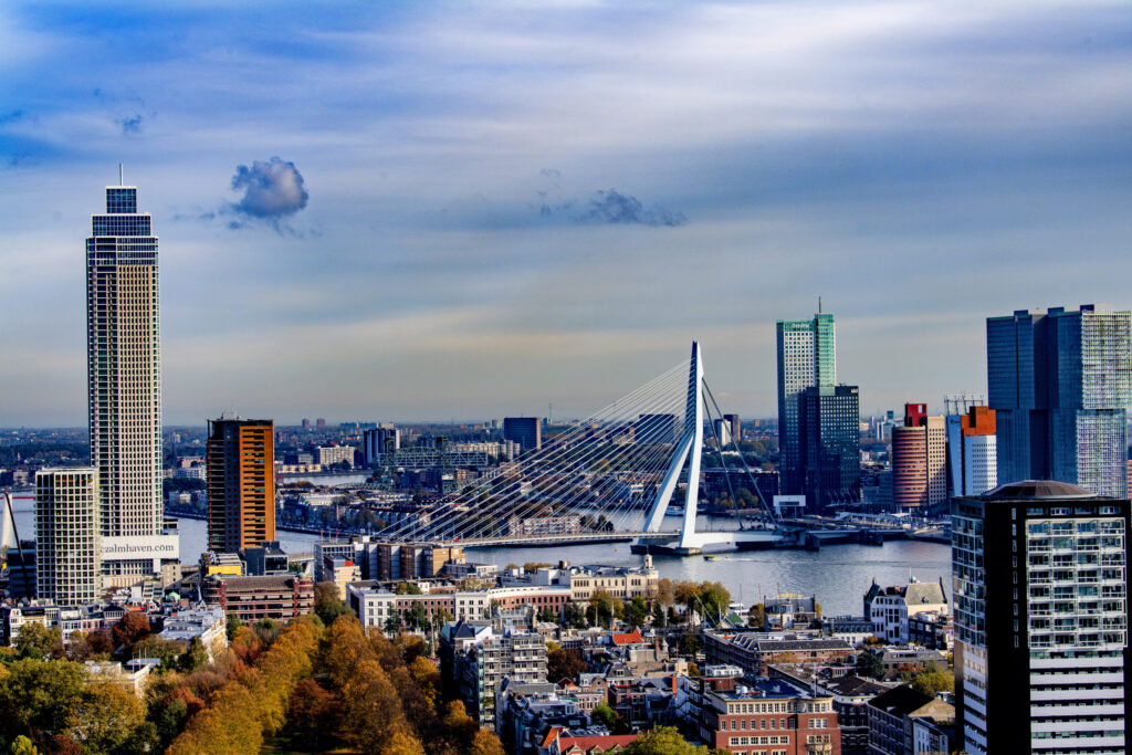 Zicht op (een deel van) de skyline met o.a. de Zalmhaventoren en de Erasmusbrug.