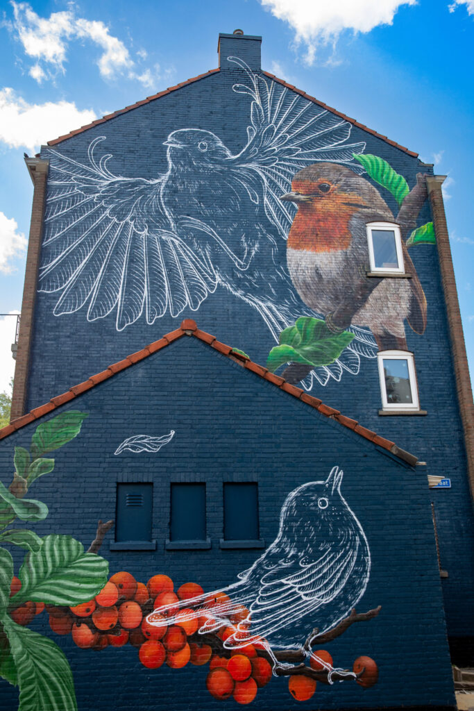 Muurschildering 'Roodborststraat' door Rotterdamse kunstenares ('muralist, schilder en illustrator') Marloes de Kiewit. Dit werk is gemaakt in samenwerking met Rewriters010.